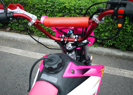 Pink Color Lady Trail Bike Motorcycle 106KG Net Weight Electric / Kick Start